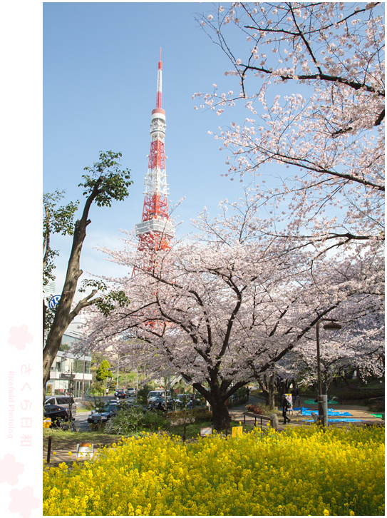 芝公園