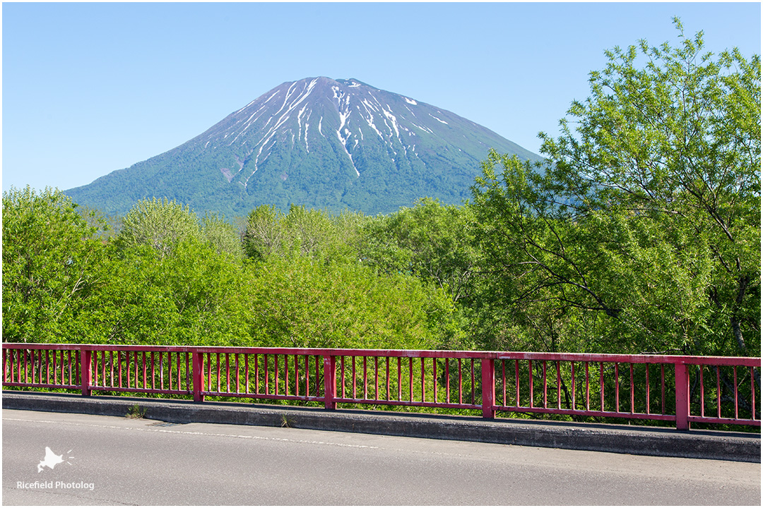 羊蹄山