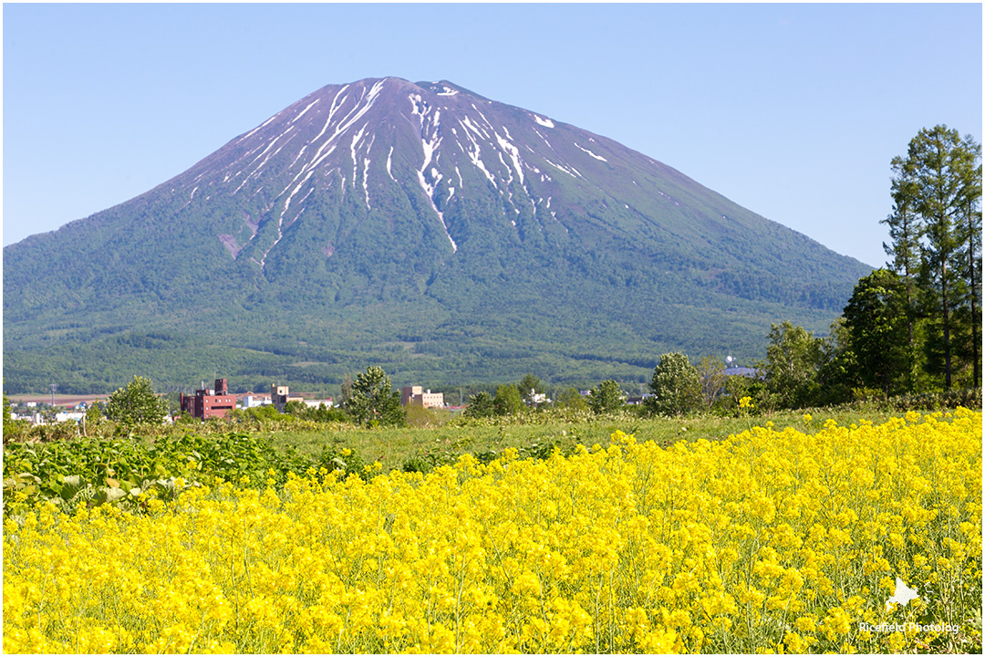 羊蹄山