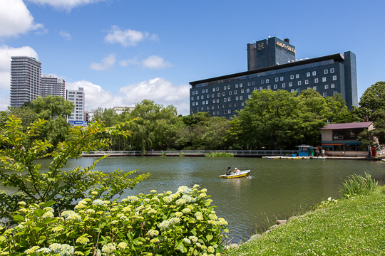 夏の札幌散歩｜中島公園・北大キャンパス