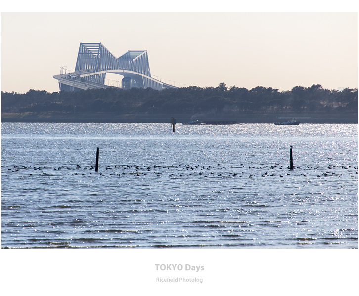 葛西臨海公園