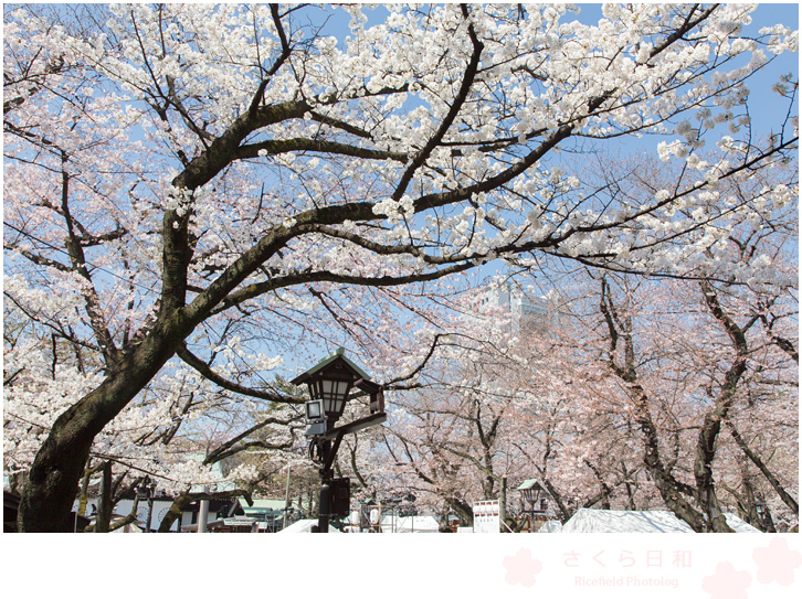 靖国神社