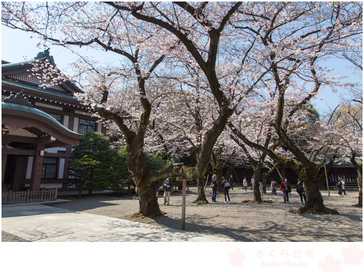 靖国神社