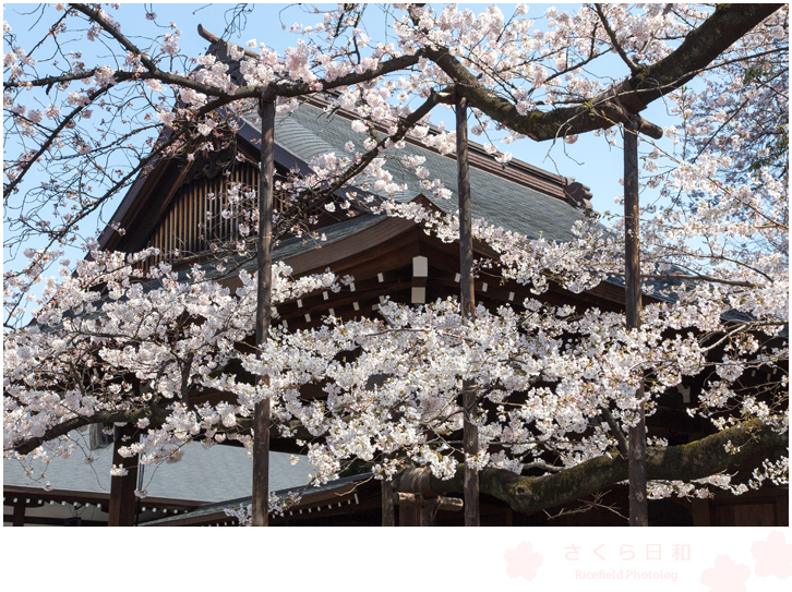 靖国神社