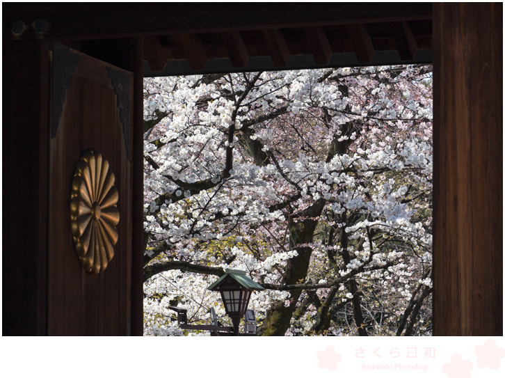 靖国神社