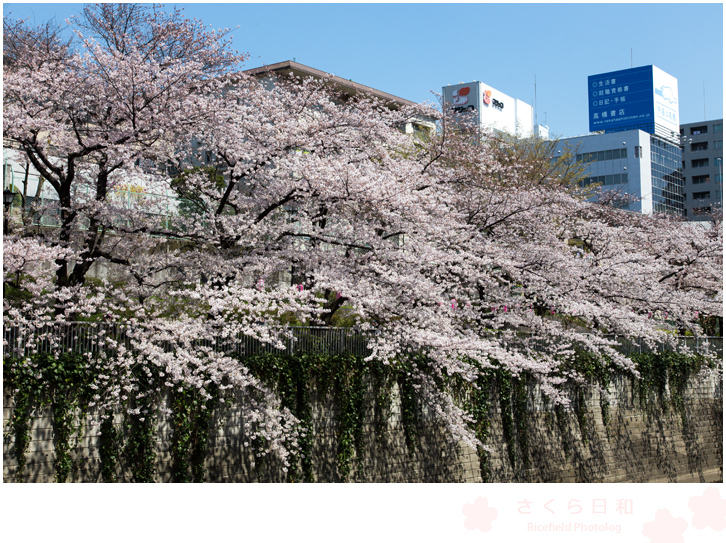 江戸川橋