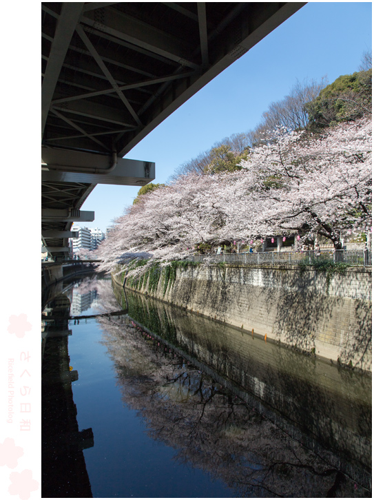 江戸川橋