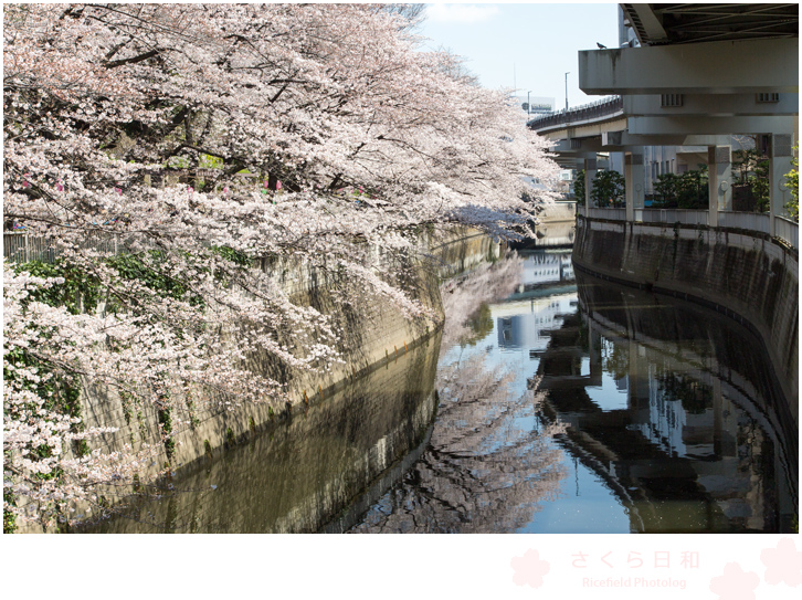 江戸川橋