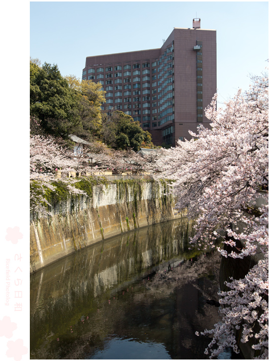 江戸川橋