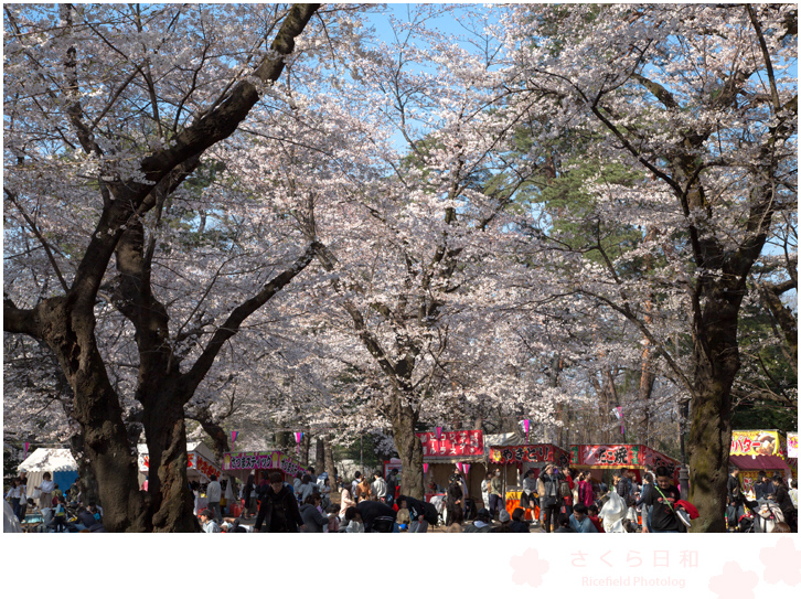 大宮公園