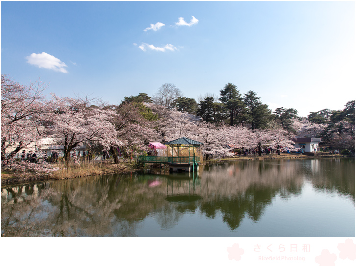 大宮公園