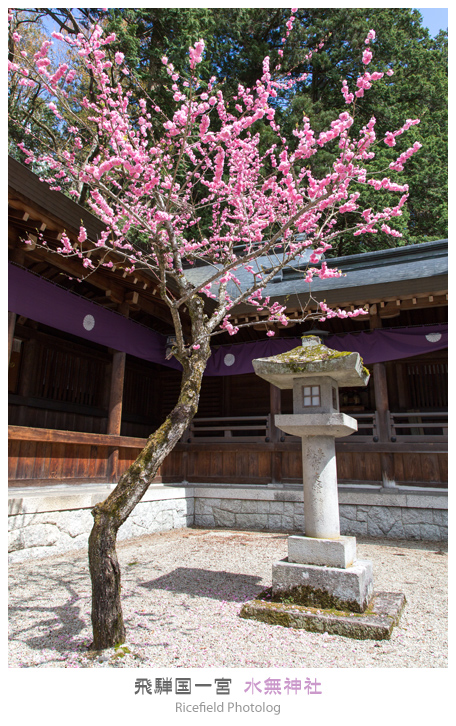 水無神社