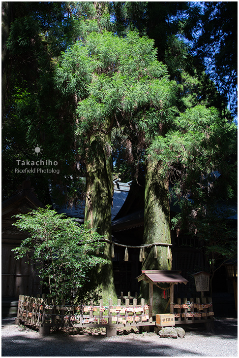 高千穂神社