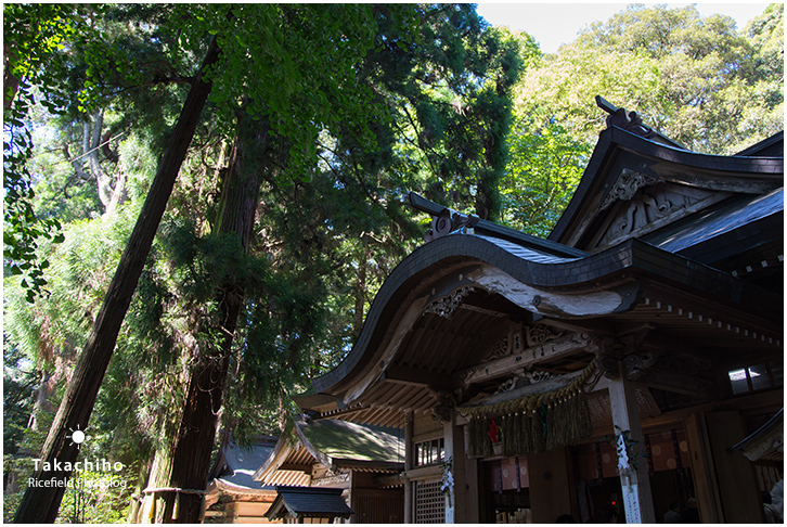 高千穂神社