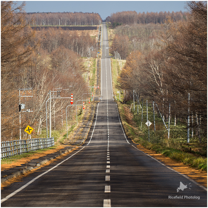 北19号道路　開陽台