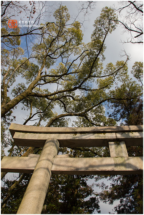 岡崎神社