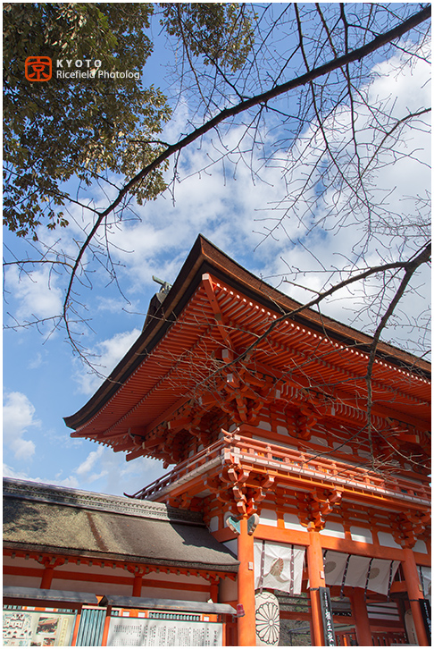 下鴨神社