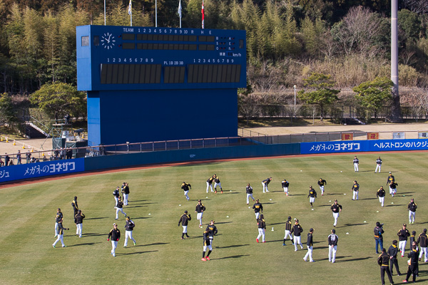 GO! Hawks! ソフトバンクホークスの宮崎キャンプ見学