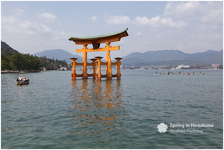 宮島 MIyajima