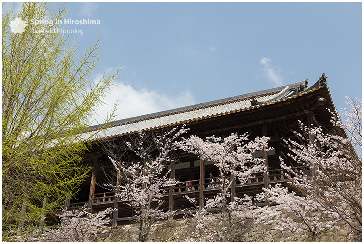 宮島 MIyajima