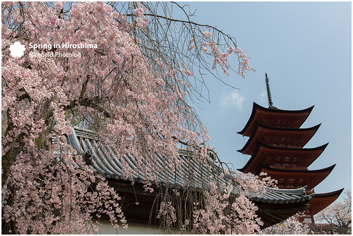 宮島 MIyajima