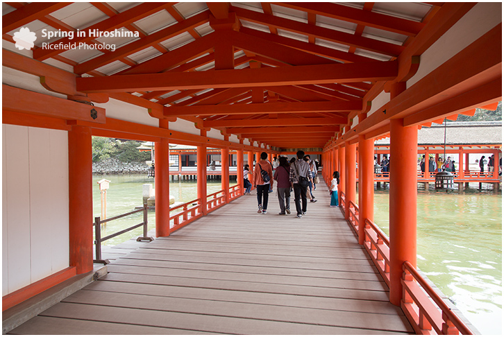 宮島 MIyajima