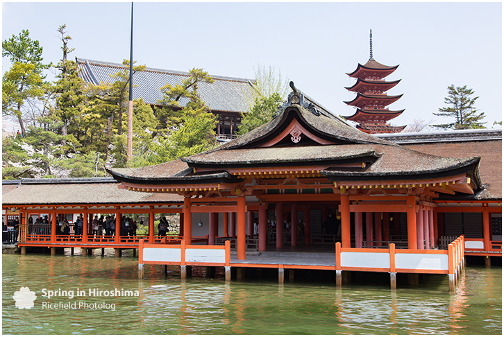 宮島 MIyajima