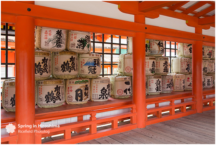 宮島 MIyajima