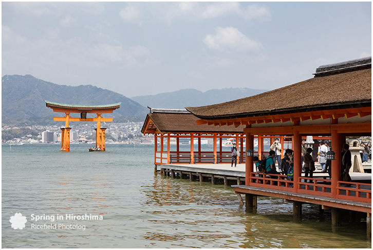 宮島 MIyajima