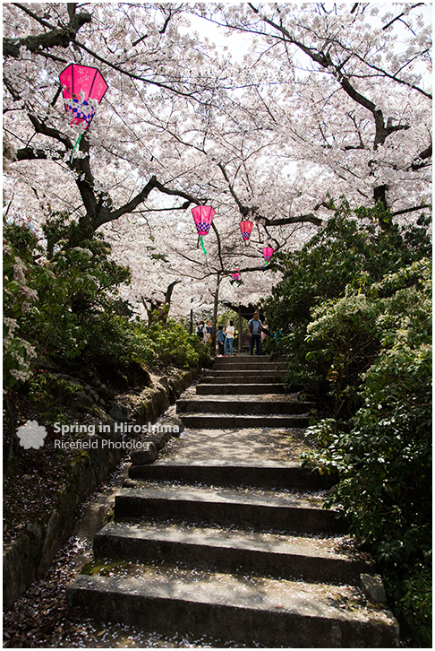 宮島 MIyajima