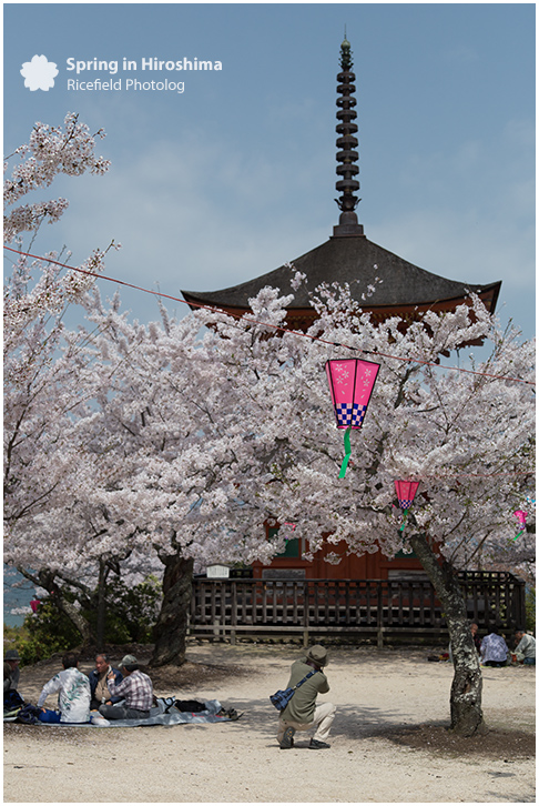 宮島 MIyajima