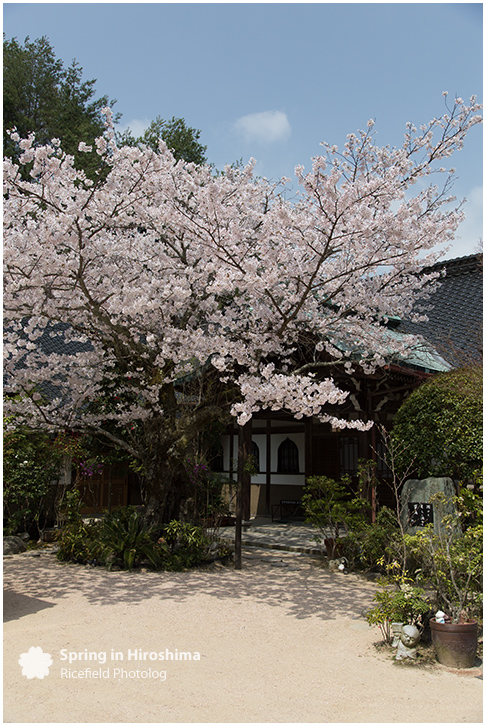 宮島 MIyajima