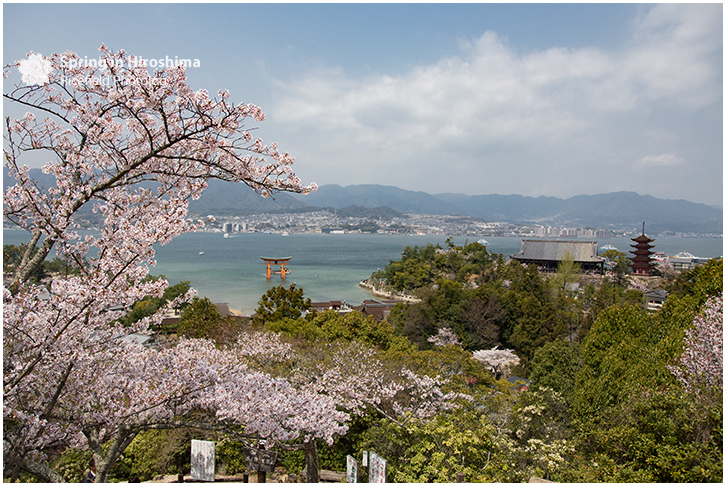 宮島 MIyajima