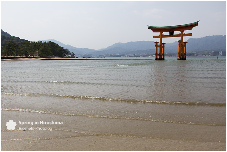 宮島 MIyajima