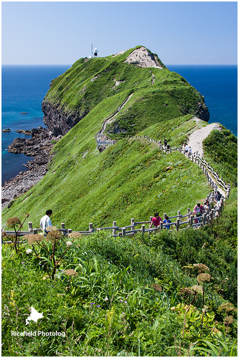 積丹半島 神威岬