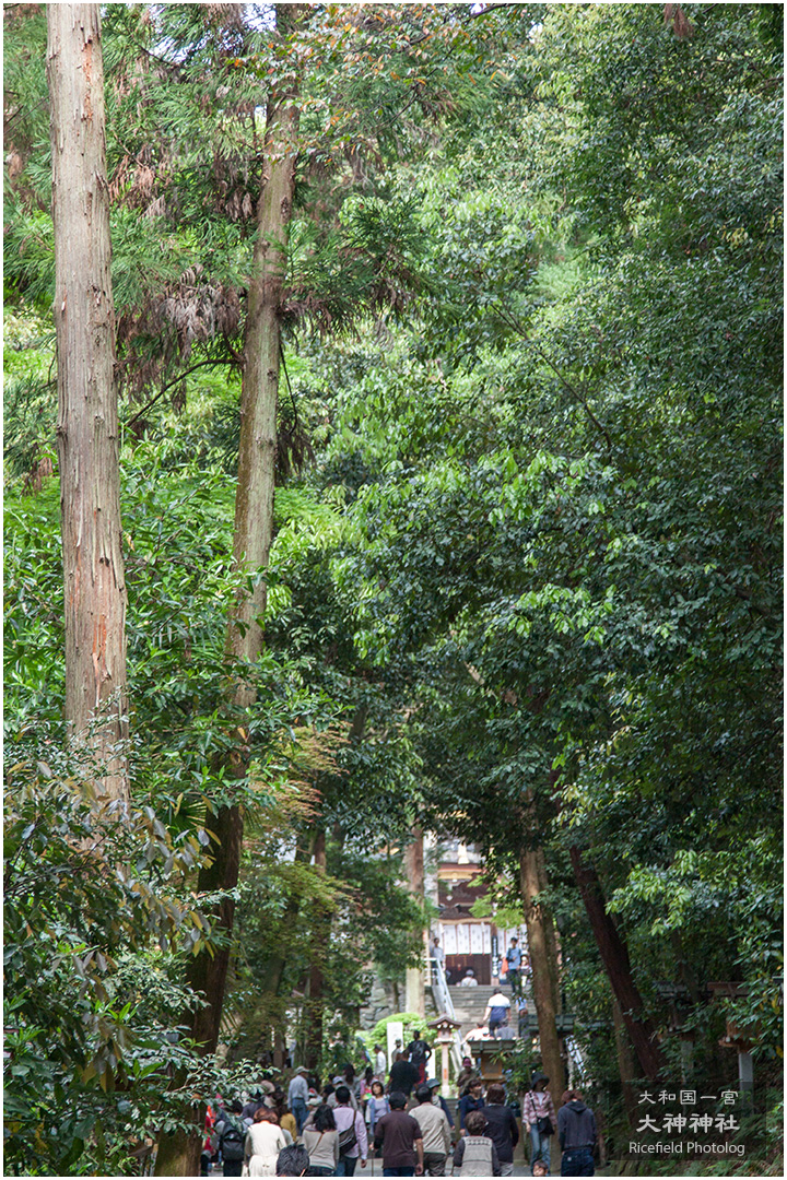 大和国一宮 大神神社