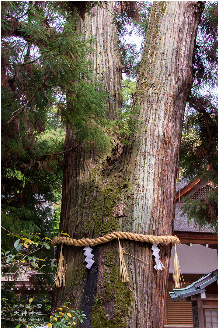 大和国一宮 大神神社