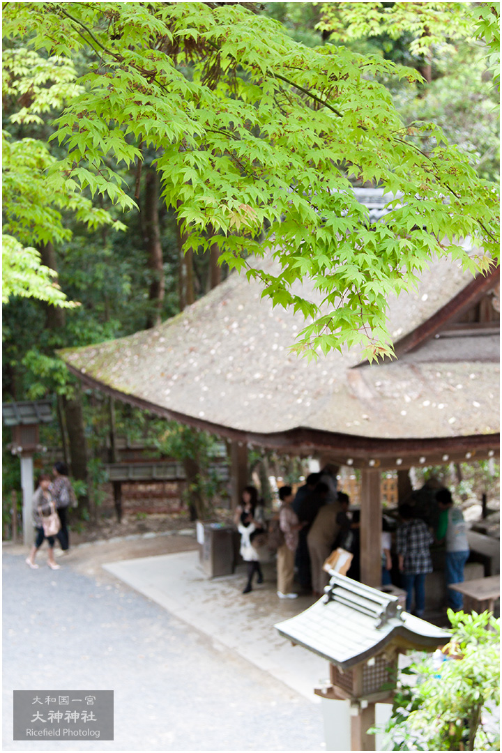 大和国一宮 大神神社