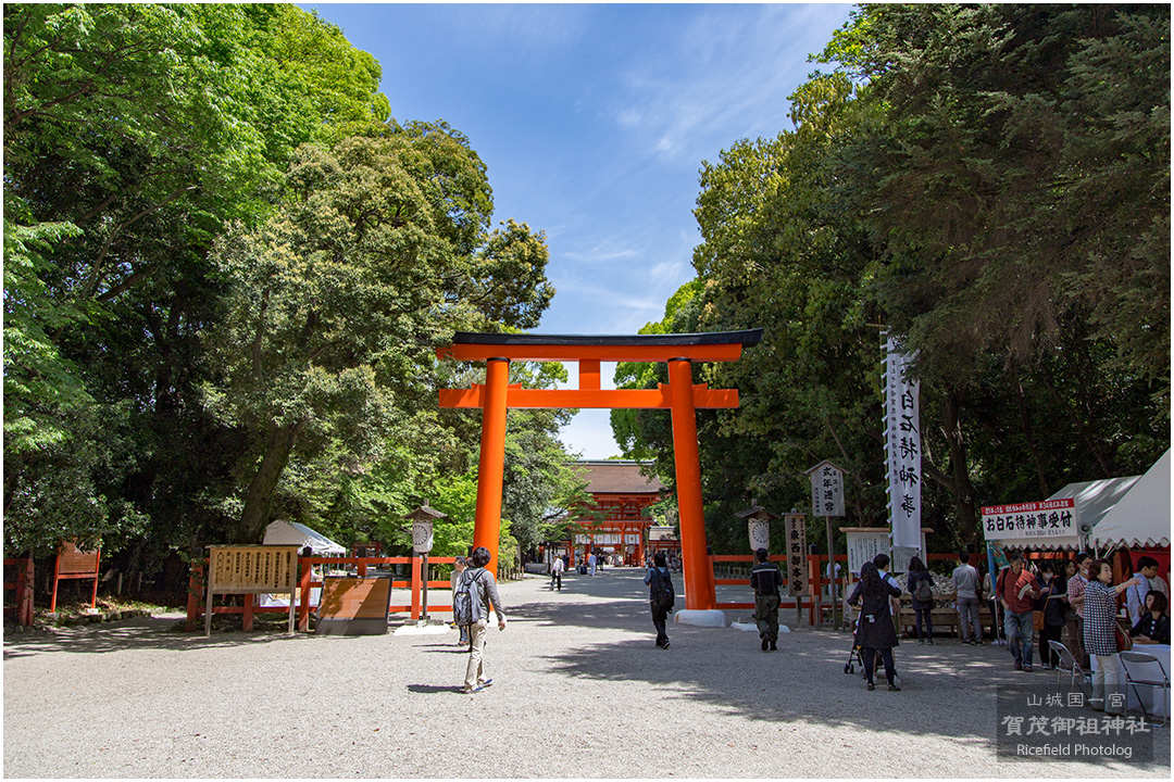 下鴨神社