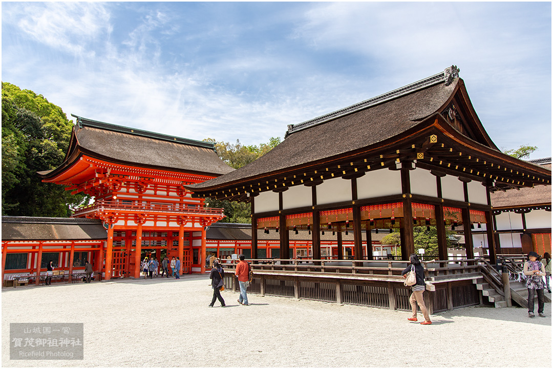 下鴨神社