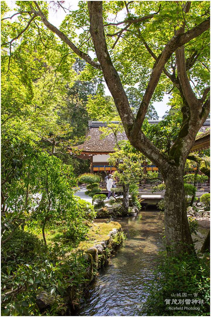 上賀茂神社