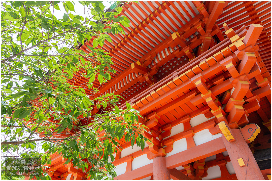 上賀茂神社