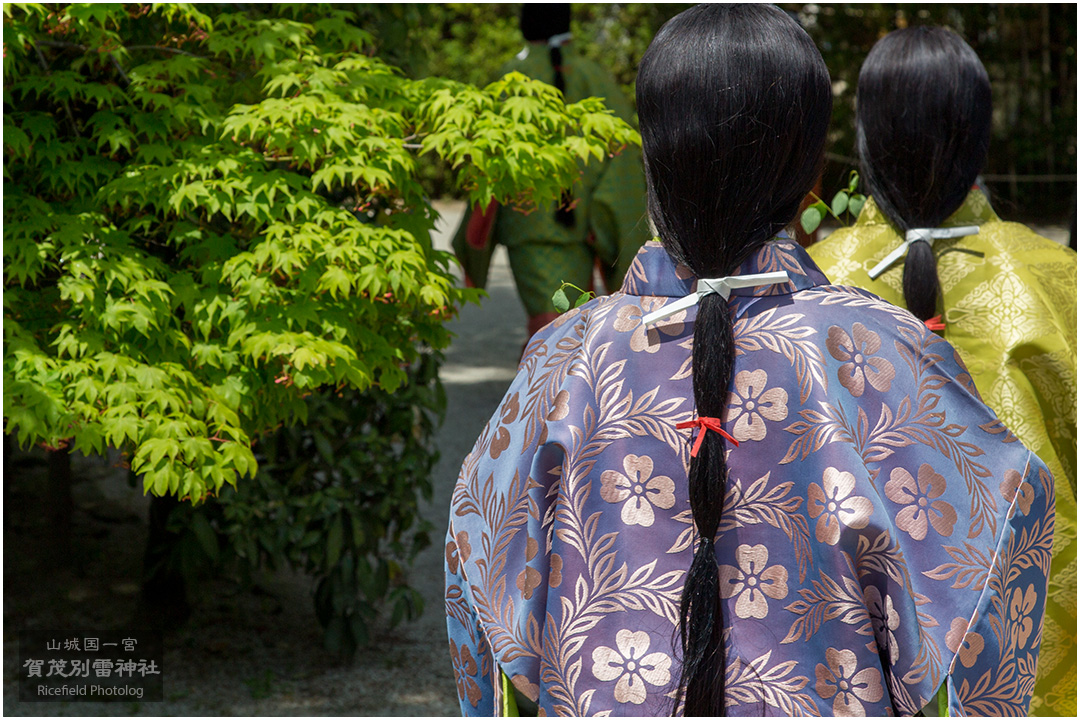 上賀茂神社