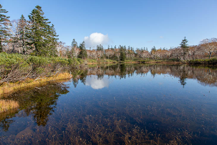 秋の北海道｜ニセコ神仙沼・京極ふきだし公園