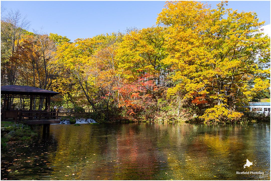 京極 ふきだし公園