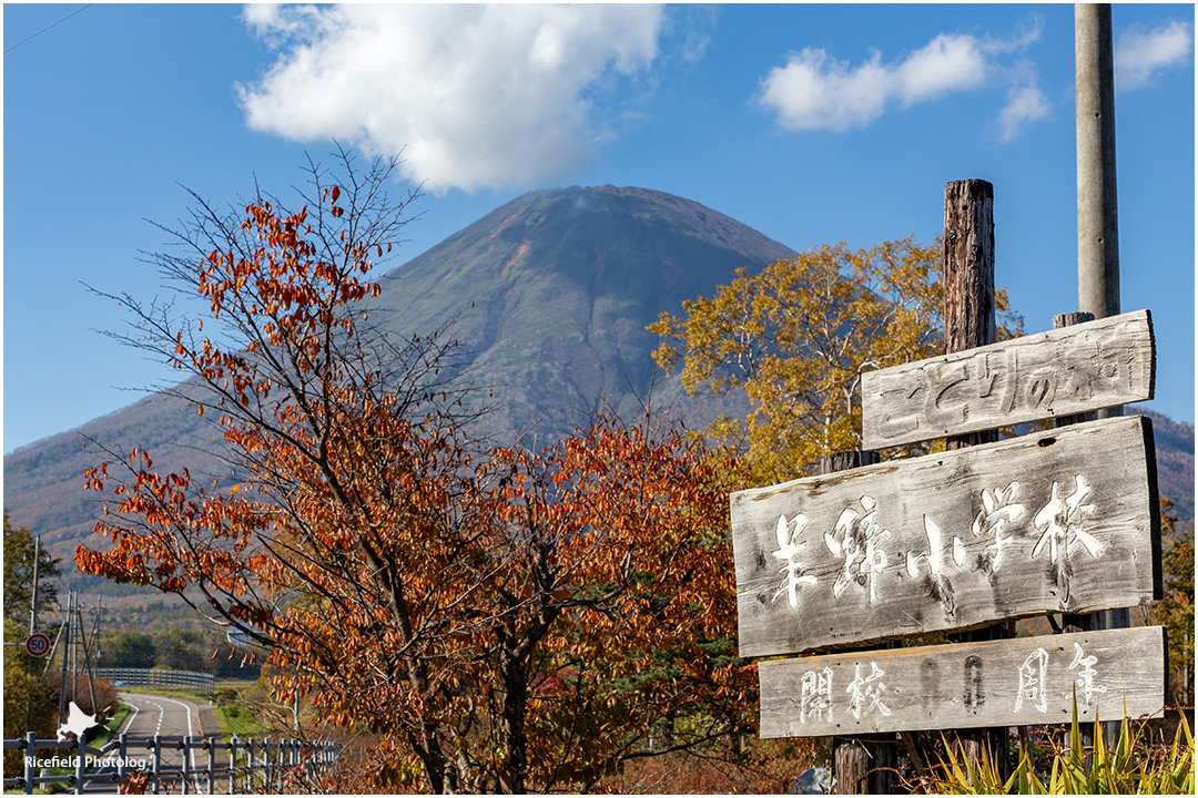 羊蹄山 yoteizan