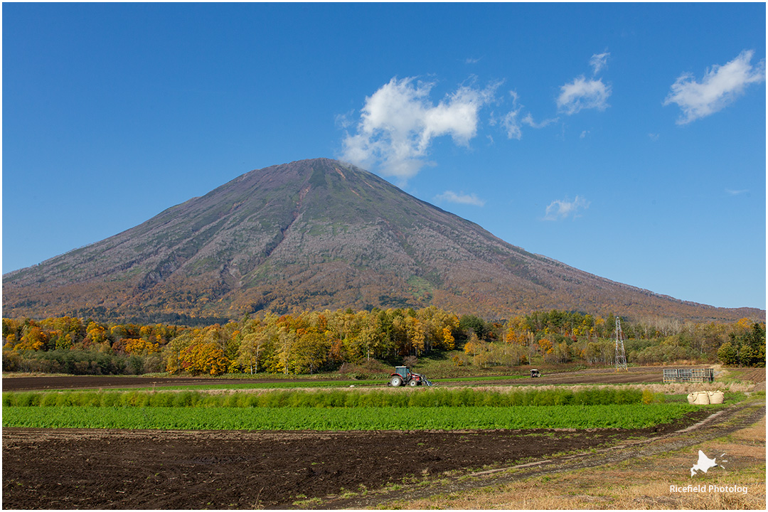 羊蹄山 yoteizan