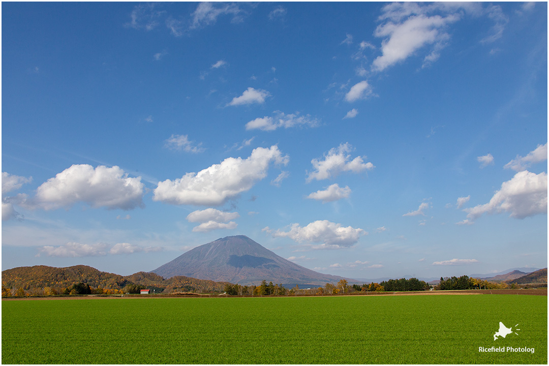 羊蹄山 yoteizan