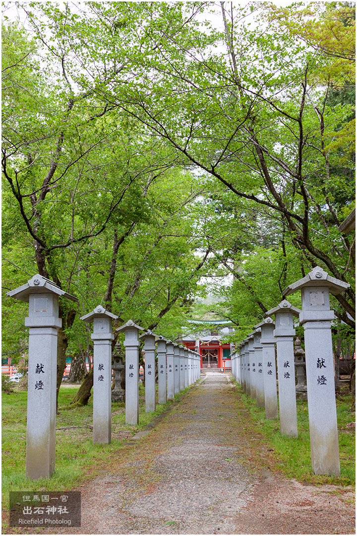 但馬国一宮 出石神社