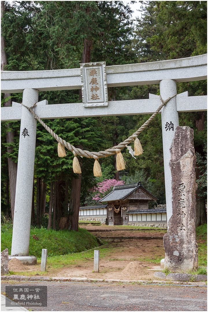 但馬国一宮 粟鹿神社